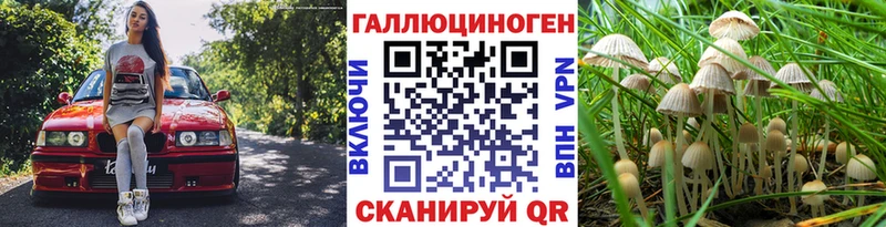дарк нет как зайти  Чердынь  Галлюциногенные грибы мухоморы 